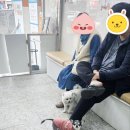 구름동물병원 이미지