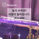 어항 조명 추천! 심플 스텝 럭셔리 조명 LU-600