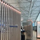 거창시장화장실(동편) | 아시아나 비즈니스라운지 인천공항 T1 동편 이스트 이용기 (메뉴, 주류, 명당자리 등)