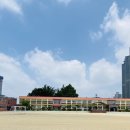 천안중앙초등학교 네이버블로그