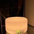 4공단로1L-57 | 초음파식 vs 가열식 비교ㅣ원룸에 딱 맞는 미니가습기추천 (내돈내산 오아1000 통세척가습기)