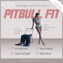 GS25마산두산점 | 창원 마산 해운동 애견샵, 펫샵 핏불핏 업체소개로 본 분양추천