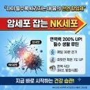 유석백세(100세)식품 | (백세시대)"암세포 잡는 NK세포, 나이가 들수록 사라진다? 면역력 200% 올리는 필수 생활법"