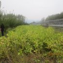 윤서농장 이미지