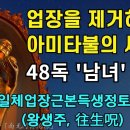 발일체업장근본득생정토다라니 48독 남녀노래 이미지