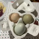 달이뜨면꽃이피고 이미지