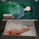 더303리턴즈 | 크라임씬 리턴즈 1~4화 스포없는 리뷰 후기