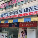 용인대 효 태권도 | 전주서곡 용인대블랙벨트 태권도 4년 다닌 솔직후기