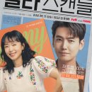 지은메디칼 | [드라마] 일타 스캔들 줄거리·후기·등장인물 정리﻿