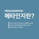 메타인디고
