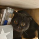 영진의류 이미지