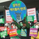 설악산 티스토리
