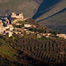 오가닉셀(주) 이미지