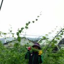 여주-0026 네이버블로그