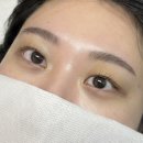 타코비 산본점 | 산본 속눈썹펌 속눈썹연장 맛집 히네 무쌍 솔직후기