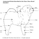 차우차우 신체 부위별 명칭 이미지