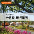 G12 | 아산 모나팜 캠핑장 후기 | 아이랑 가기 좋은 애견동반 캠핑장 추천