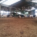 구석농장 이미지