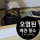 영우빌라 | 빌라 주방후드 새둥지 제거 차단작업