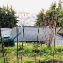 천마산농원 네이버블로그