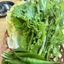 까치생대패&차돌