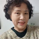 서울 미니. 옷 생기다 이미지