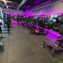 피트온24 이미지