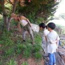 (주)호성 이미지