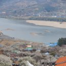 상춘꽃농원 이미지