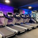 시너지 짐 이미지