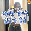 체지방 줄이기.. 이미지