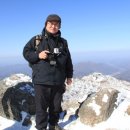 (주)뉴스1