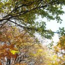 함양여자중학교 이미지