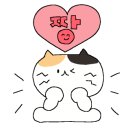 박현지토종한우 이미지