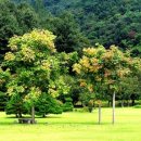 담양송죽헌 이미지