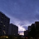 용인한빛중학교 이미지