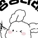 멍멍 애견미용 이미지