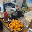 야참나라 이미지