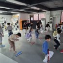 성일태권도체육관 이미지