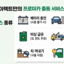 프로미자주카 이미지