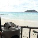 은희네목장 이미지