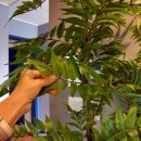 클레르드륀 민박 이미지