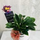 월성파출소 이미지