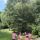 큰별자리어린이집 이미지