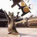 제이커뮤니케이션 이미지