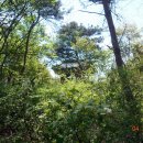 태산농장 이미지