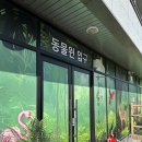 쥬니멀 | 청주 실내 동물원 쥬니멀 동물원 후기 아이와가볼만한곳 실내 데이트