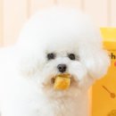 잇츄