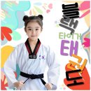 마스터 태권도장 이미지