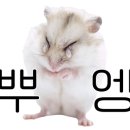 멀티소프트 이미지